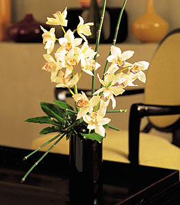  Sakarya yurtii ve yurtd iek siparii  cam yada mika vazo ierisinde dal orkide