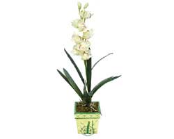 zel Yapay Orkide Beyaz   Sakarya internetten iek siparii 
