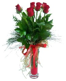 vazo içerisinde 5 kırmızı gül  Sakarya internetten çiçek satışı 
