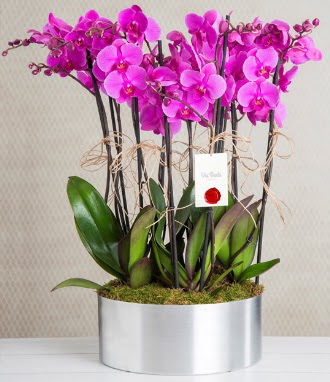 11 dall mor orkide metal vazoda  Sakarya cicek , cicekci 