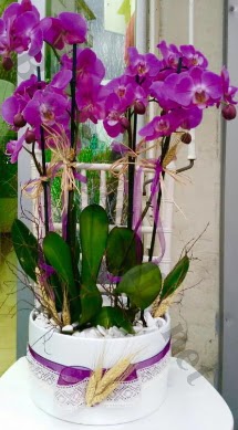 Seramik vazoda 4 dall mor lila orkide  Sakarya nternetten iek siparii 