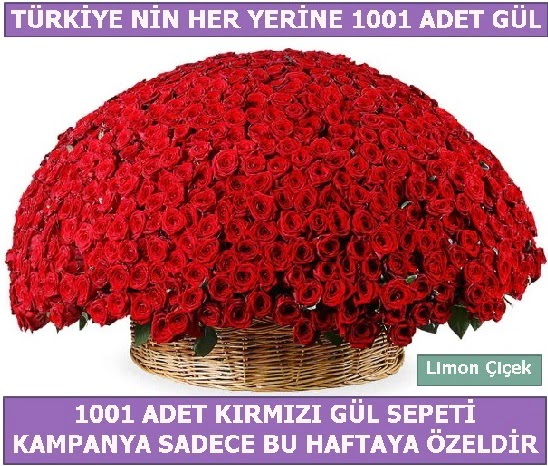 1001 Adet kırmızı gül Bu haftaya özel  Sakarya online çiçek gönderme sipariş 