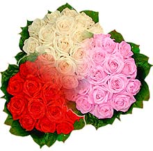 3 renkte gül seven sever   Sakarya hediye sevgilime hediye çiçek 
