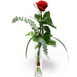  Sakarya 14 şubat sevgililer günü çiçek  1 adet kirmizi gül cam yada mika vazo içerisinde