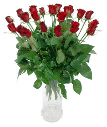  Sakarya 14 şubat sevgililer günü çiçek  11 adet kimizi gülün ihtisami cam yada mika vazo modeli