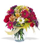  Sakarya hediye sevgilime hediye çiçek  cam yada mika vazo içerisinde karisik kir çiçekleri