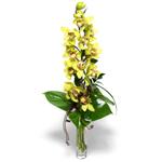  Sakarya online çiçek gönderme sipariş  cam vazo içerisinde tek dal canli orkide