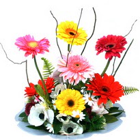  Sakarya çiçek servisi , çiçekçi adresleri  camda gerbera ve mis kokulu kir çiçekleri 