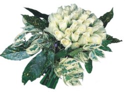  Sakarya online çiçekçi , çiçek siparişi  9 Beyaz gül Özel kisiler için