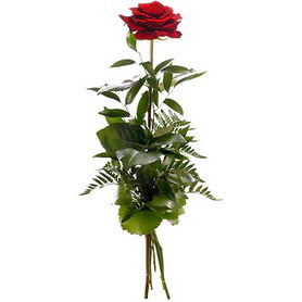  Sakarya internetten çiçek siparişi  1 adet kırmızı gülden buket