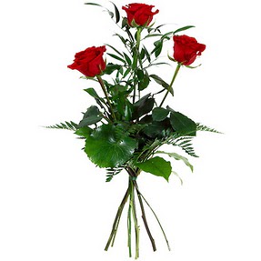  Sakarya çiçek gönderme  3 adet kırmızı gülden buket