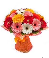 Renkli gerbera buketi  Sakarya çiçek satışı 