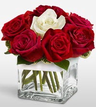 Tek aşkımsın çiçeği 8 kırmızı 1 beyaz gül  Sakarya çiçek gönderme 